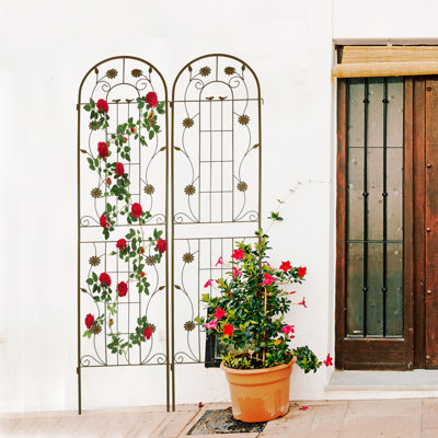 Durable Rustproof Iron Trellis For Outdoor Elegant Garden Design