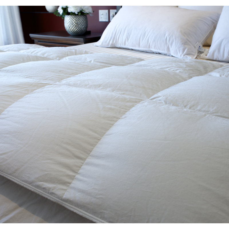 Couette en duvet 400TC Canadian Light 650, Très grand