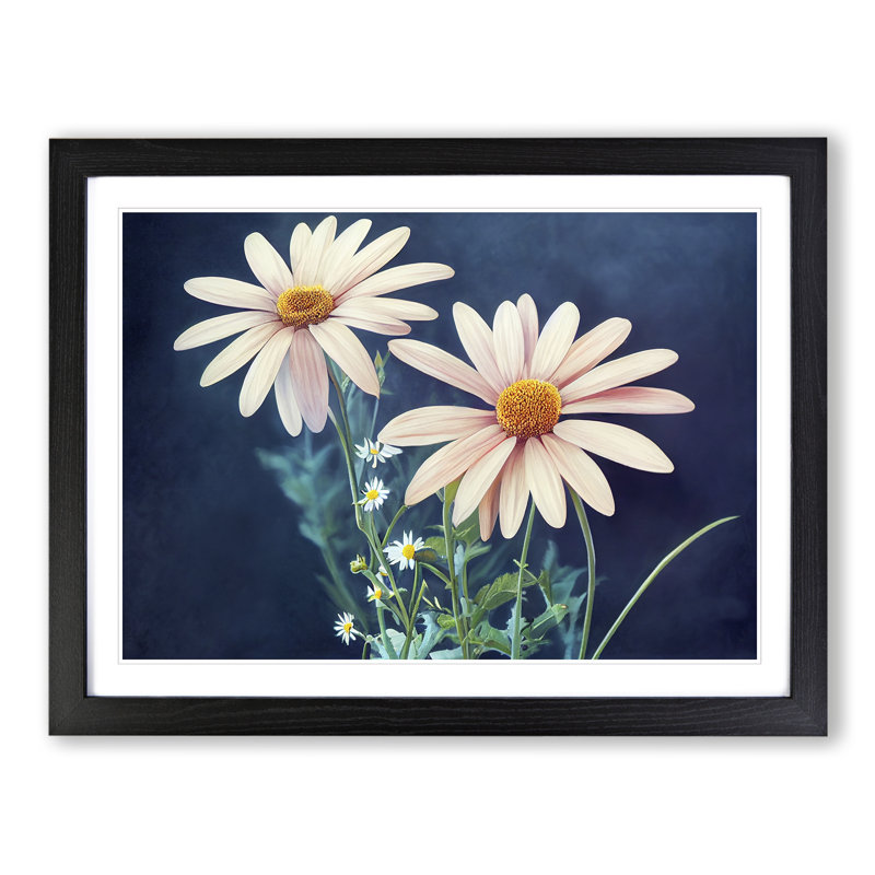 Beaming Daisy Flowers - Single Picture Frame Print, 46cm H x 64cm W x 2cm D, Black