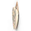 Vivid Squid Wholesale Wall Decor