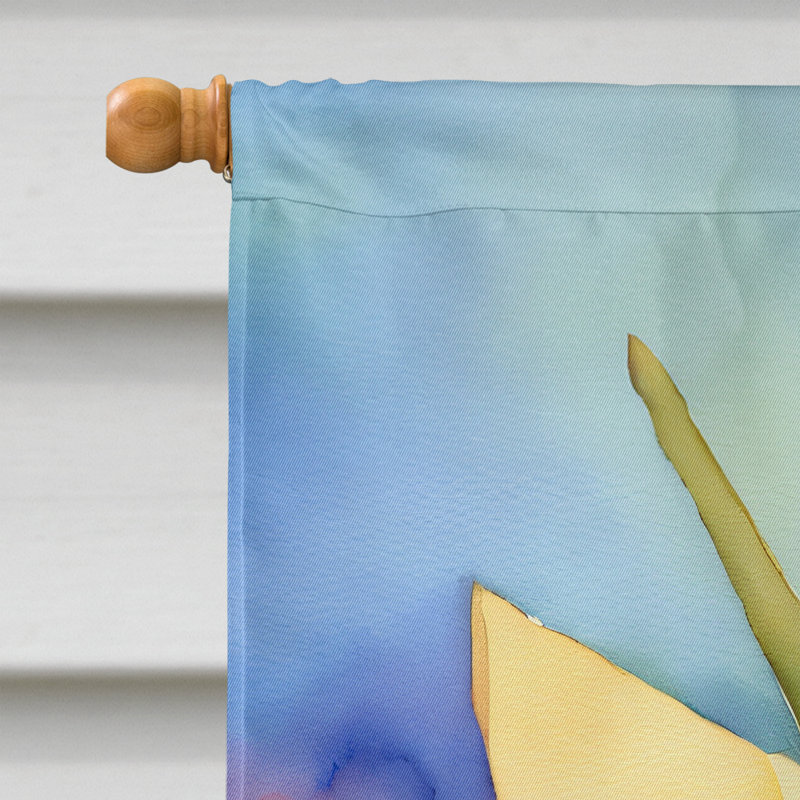 Double Sided 40'' H x 28'' W Polyester House Flag