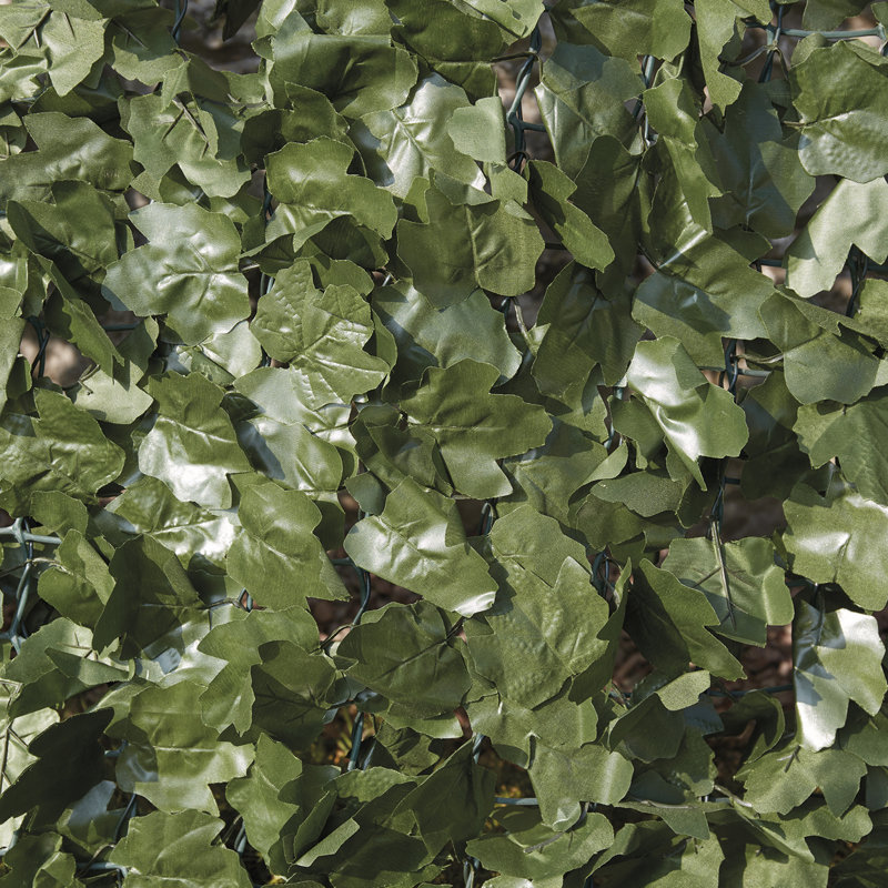 Celise 103 cm H x 300 cm W