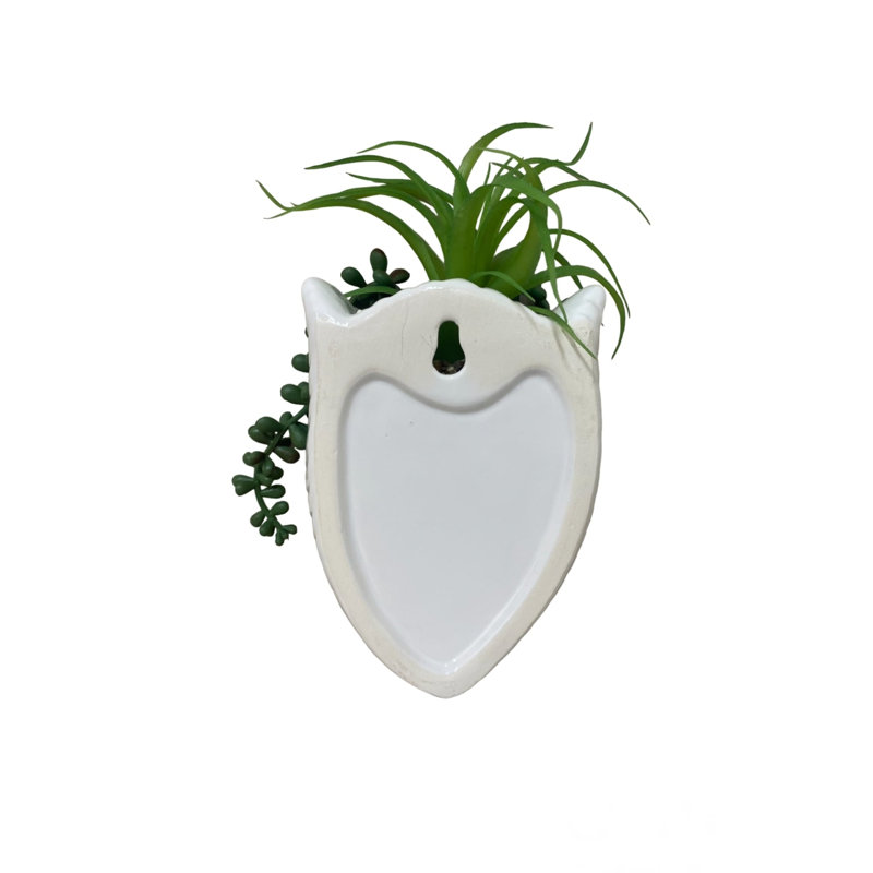 Calvillo Ceramic Wall Planter