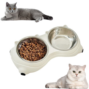Bol pour chat, bols pour chats surélevés inclinés à 15 ° anti-vomissements, plat pour animal de compagnie de 10 onces avec 2 bols en acier inoxydable pour petits chats et chiots d'intérieur