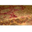 Wool Oriental Area Rug