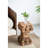 Dorell Solid Wood Accent Stool