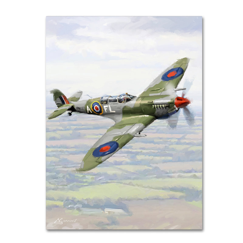 Armand 'Spitfire' Print on Canvas, 47" H x 35" W x 2" D