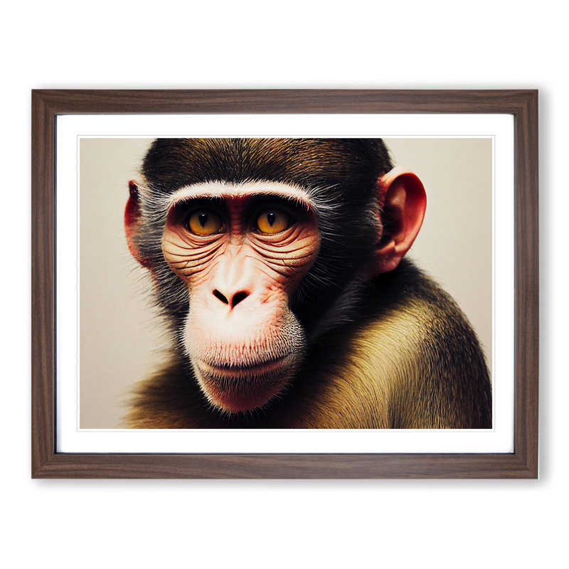Monkey - Framed Print, 34cm H x 46cm W x 2cm D, Brown Framed