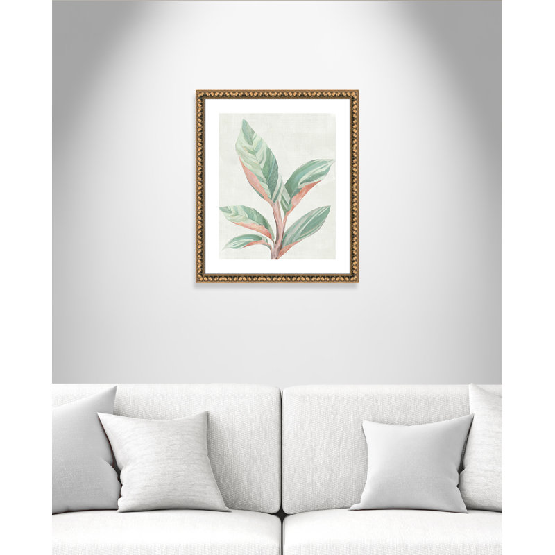 Gingembre II - reproduction d'art, Papier avec cadre à perles dorées, H 25,5 po x l 21,5 po x P 1,13 po