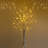 Lighted Christmas Tree