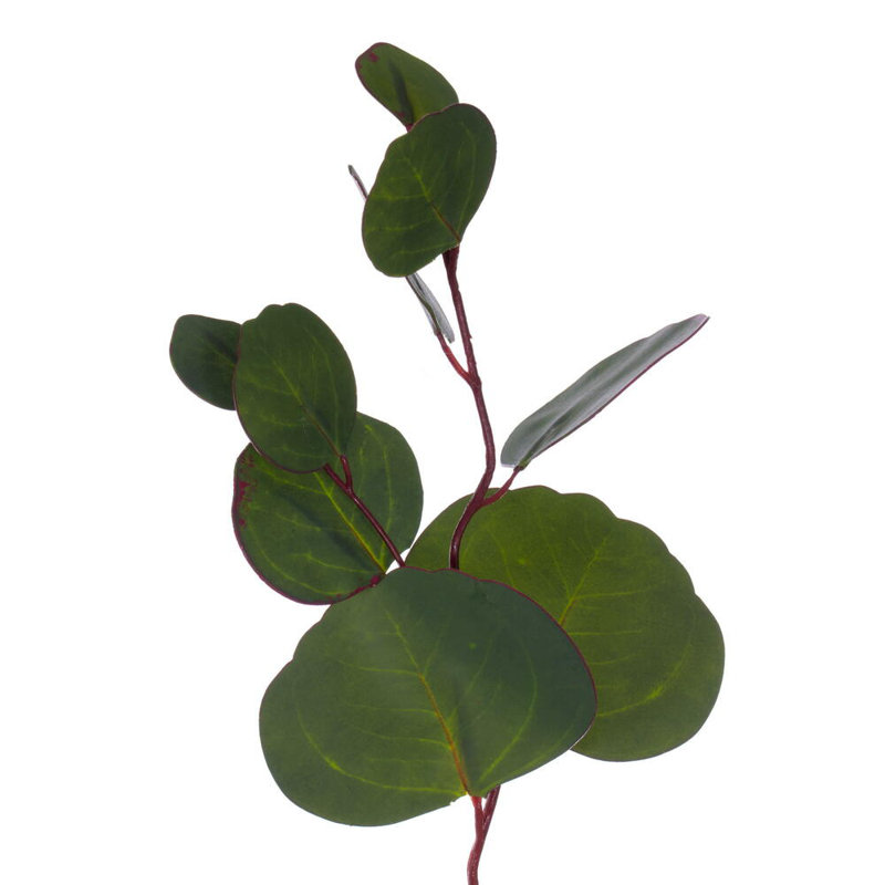 Faux Eucalyptus Polyester Wreath, 20" H x 6" W x 20" D