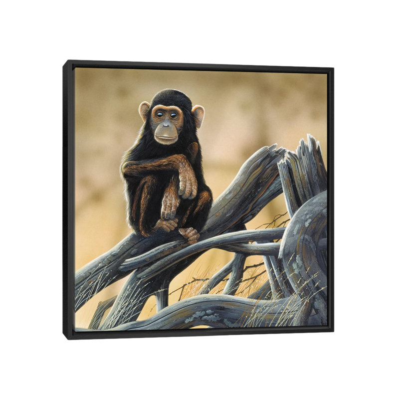 « papillons », reproduction de photo sur toile, H 18 po x l 18 po x P 1,5 po, Toile avec cadre noir, Pas de tapis