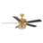 La Mott 52'' Ceiling Fan with Light Kit