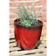 Einar Pot Planter-408628607-408628600