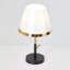 Iron USB Desk Lamp