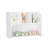 Storage Book Shelf