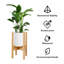 Ahwahnee Plant Stand