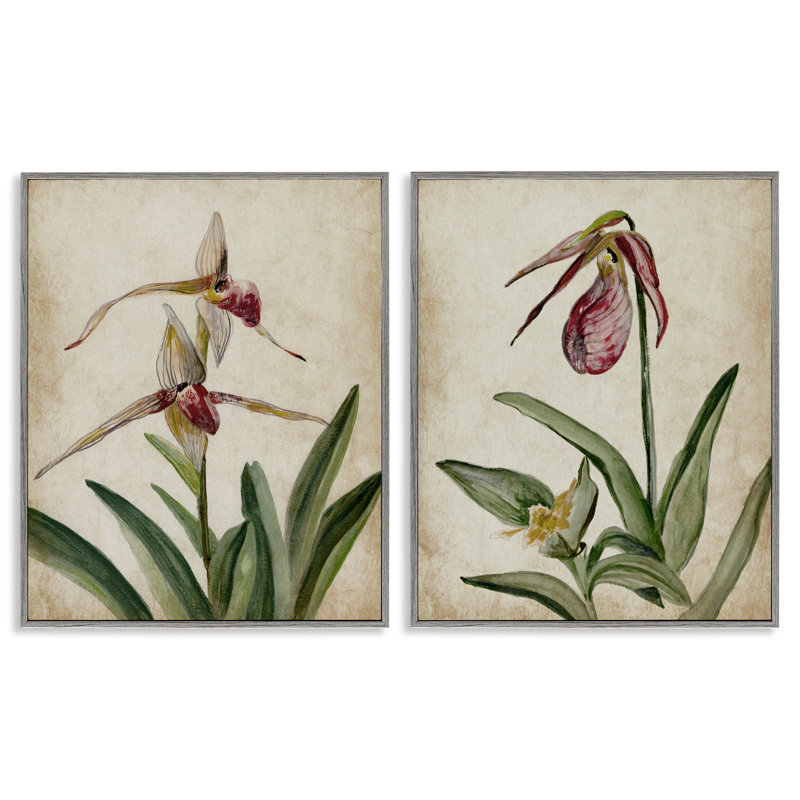 «Vintage Blooming Birds of Paradise», ensemble de 2 giclées encadrées, design par Jacob Q, H 14 po x l 22 po