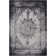 Aoi Chenille Oriental Indoor Rug
