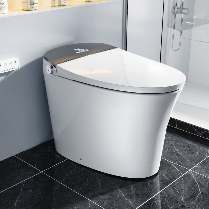 Rizzon Zero-Pressure Smart Bidet Toilet, Elongated One-Piece Tankless 1-Second Instant Heating, Detachable 316 Stainless Steel Self-Cleaning Nozzle, ADA-Height, cUPC/cETL Certified, 4.8L Siphonic Flush