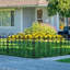 Coeymans 70 cm H x 61 cm W Fence Panels Fencing with 5 Panel(s) Included-1885526216
