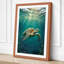 Turtle in Light Coastal - Wrapped Canvas-978167322-978167325