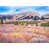 Wrapped Canvas selected