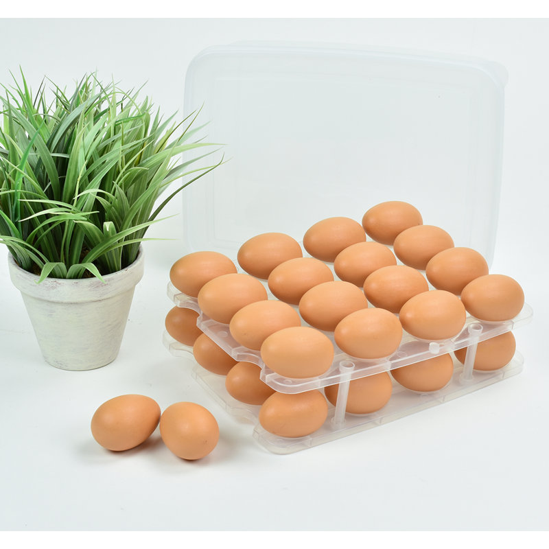 Food Storage Container