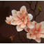 Décoration de fleurs simulées-1159538384