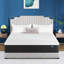 Matelas en mousse pelucheux de 12 po Shelburn avec gel rafraîchissant et support ergonomique, fabriqué aux États-Unis-1912656906