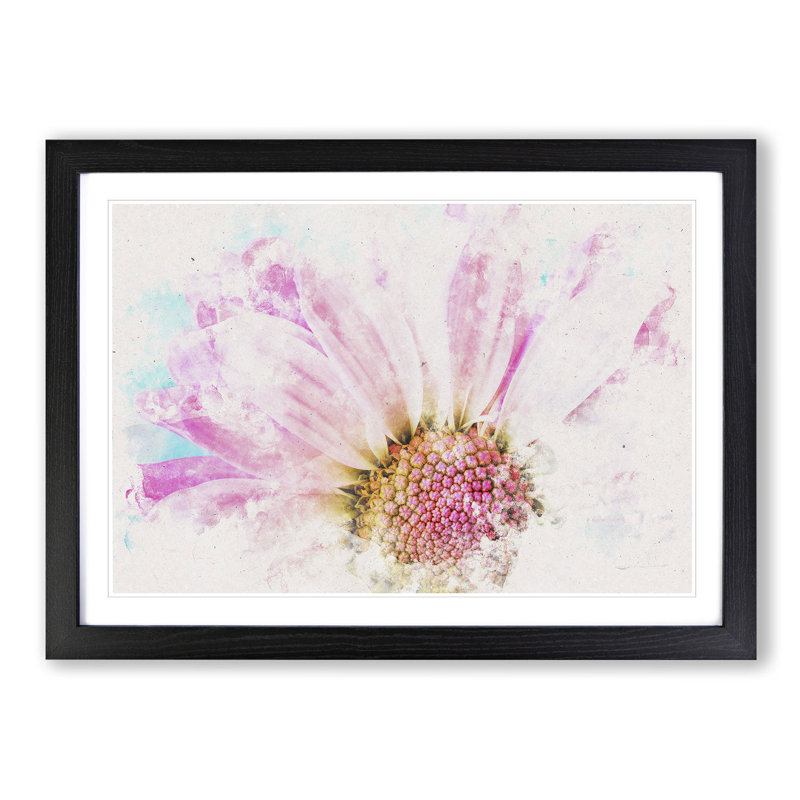 Pink Daisy Flower - Picture Frame Graphic Art Print, Black Framed, 24cm H x 33cm W x 2cm D