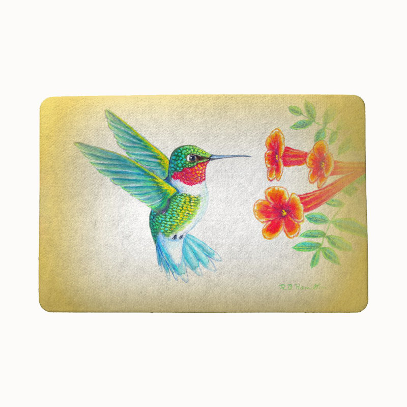 Tapis de porte pour l’extérieur anti-dérapant 18" x 26" à l’intérieur de l’dick hummingbird Lohmann