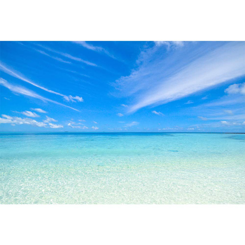 Coastal Beachy Peel & Stick Border, 100" L x 144" W