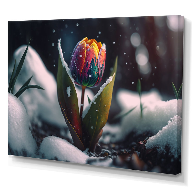 «A Blooming Multicolor Tulip Flower in Winter I», impression sur toile, H 16 po x l 32 po x P 1 po, Toile tendue