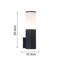 Lohyn Frosted Glass Outdoor Armed Sconce