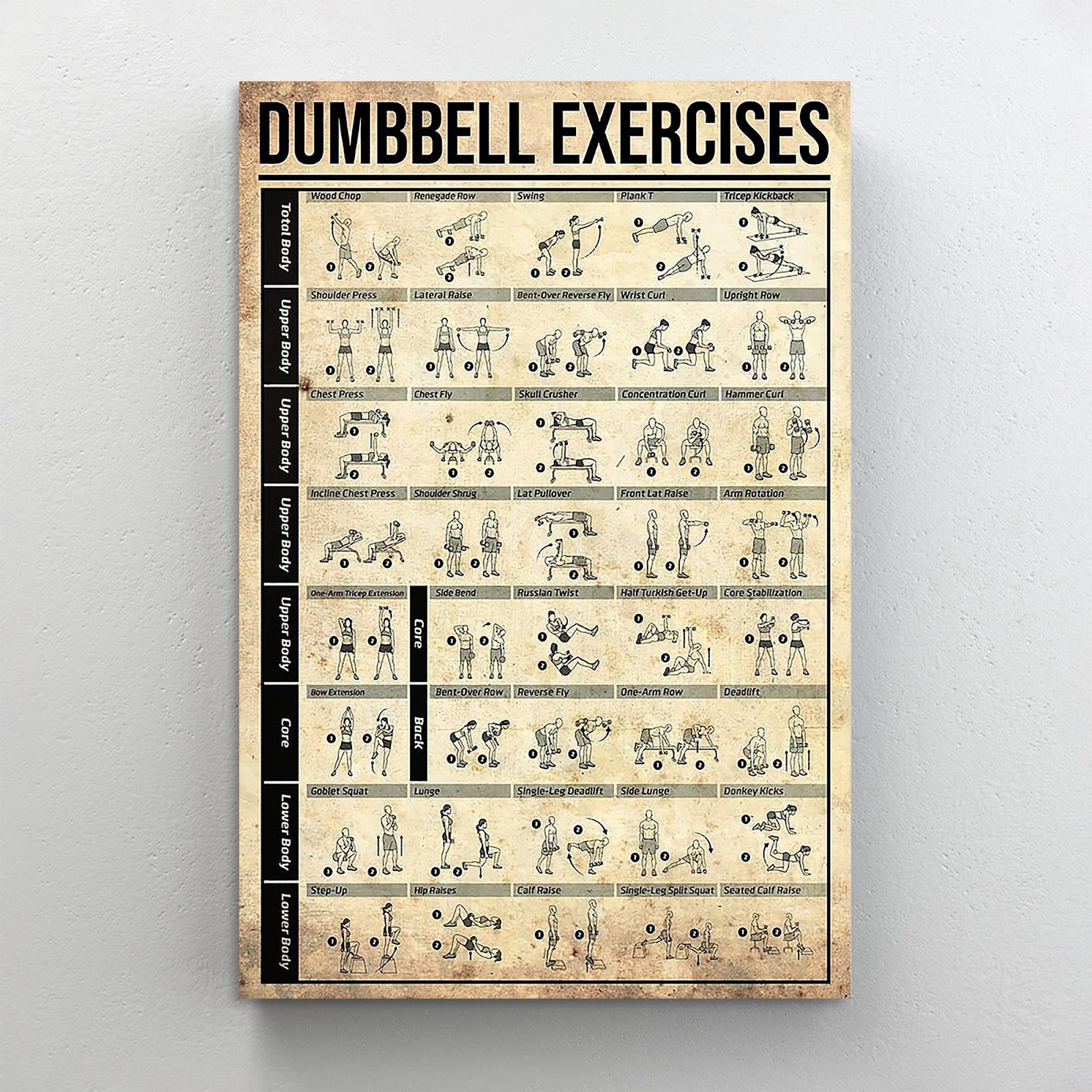  Workout Posters For Home Gym Tone Your Arms Exercise and  Fitness Motivational Inspirational Chart White Wood Framed Art Poster  14x20: Posters & Prints