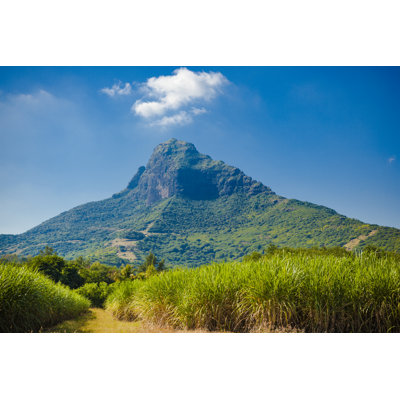 Cesela Nature Park - Wrapped Canvas Print