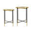 Ensemble de 2 tables d'appoint en fer doré et noir avec plateau en verre