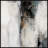 " Dark Surface " by Marmont Hill-1636176375