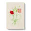 Illustration Of Pink Carnation Flowers - Wrapped Canvas-55362471