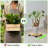 Biserka Wood Plant Stand-831045650