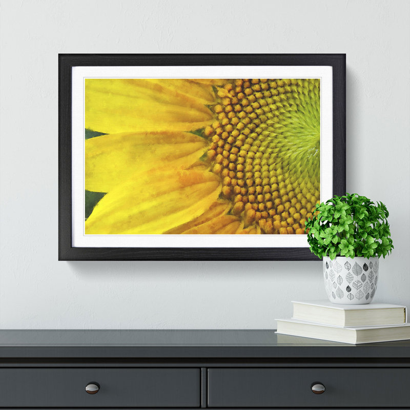 Petals of the Yellow Sunflower - Framed Print, 62cm H x 87cm W x 2cm D, Black Framed