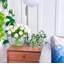 Real Touch Tulip Table Centerpiece In Bubble Glass Vase-336422240
