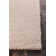 Burton Area Rug in Beige