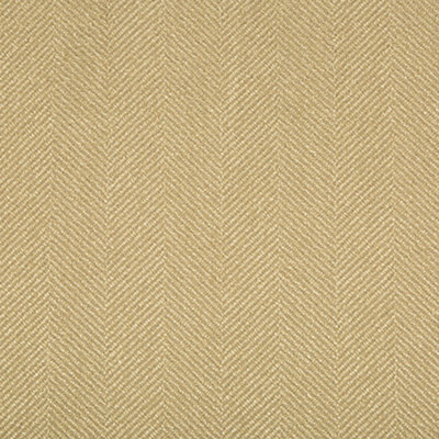 Performance Crypton Home Fabric