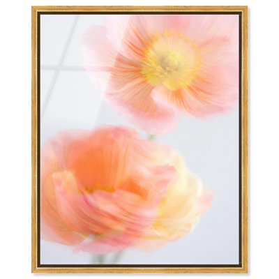 Hazy Camelias Print