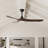 Ceiling Fan with LED Lights