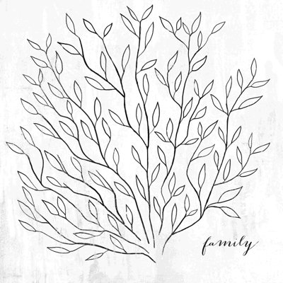 " Leafy Branches Drawing "