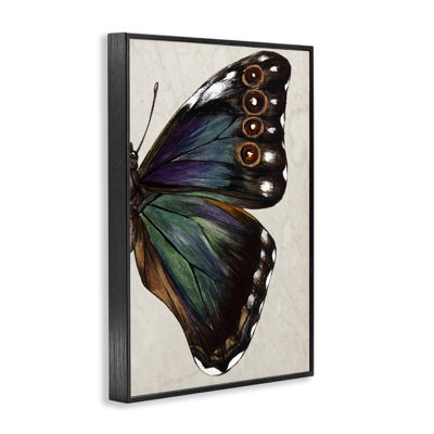Classic Butterfly Wing Framed Giclee Art by Melissa Wang