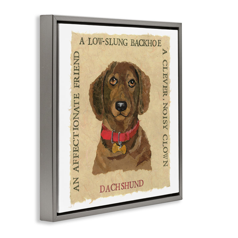 «Fun Dachshund Pet», art mural encadré flottant par Nancy Overton, Cadre flottant gris lustré, H 18 po x l 18 po